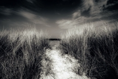 Path to the Sea by Jeff Moore
