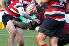 TACKLE by Brian Crossland