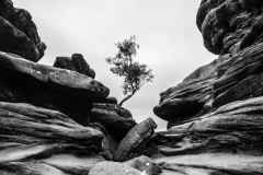 13 STUCK BETWEEN A ROCK AND A HARD PLACE by Glynn Rhodes
