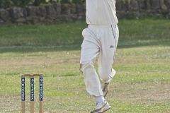 Fast Bowler in Action by Harry Watson