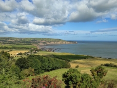 Robin Hoods Bay by Dave Rippon