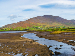 Hill Of The Wells County Kerry  by Dave Rippon