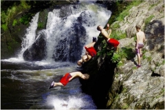 Back Flip by Dave Speight
