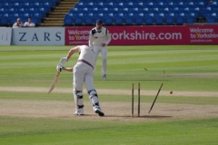 Middle Stump by Phil Edwards