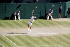 Roger Federer by Willem Van Herp