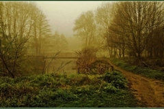 Eirie Wood by David Speight