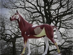 Myth and Legend Damien Hirst by Jeff Moore