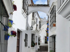 Andalusian Street by Willem Van Herp