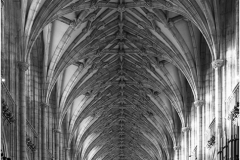 Salisbury Cathedral by Jeff Moore