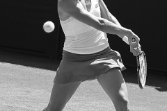 Staring at the Ball by Willem Van Herp
