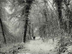 Winter Walk by Jeff Moore