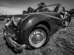 Triumph TR3 by Robert Bishop