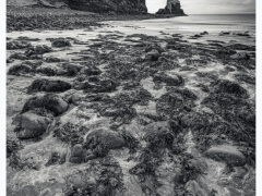 Talisker Bay by Karen Smith