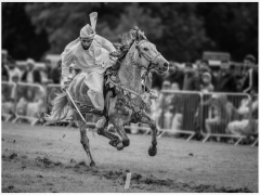 Tent Pegging by Karen Smith