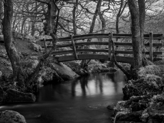 Bridge at Padley by Robert Bishop