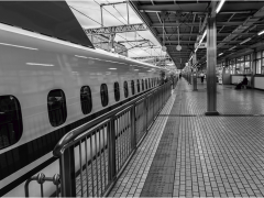 Bullet Train by Dave Rippon