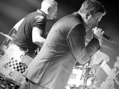 A Special Occasion by Darren Whitfield