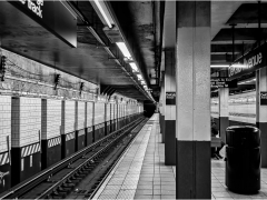 Dekalb Avenue Subway Station by Dave Rippon