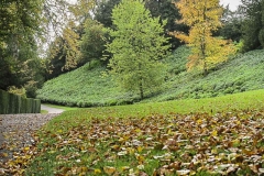 Autumn-Time