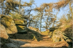 ROCKY PATHWAY By Bob Harper