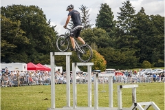 STUNT RIDER by Bob Harper