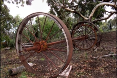 Wagon-Wheels