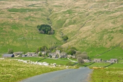 NR SETTLE by HARRY WATSON