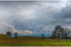 20 GREEN & PLEASANT LAND by Jeff Moore