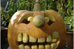 KIMPTON VILLAGE PUMPKIN WINNER 2016 by Jeff Moore