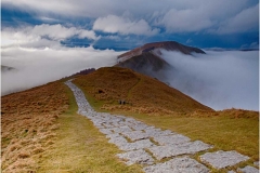 Mamtor