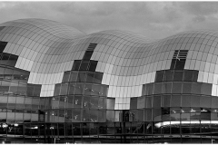THE SAGE by Jeff Moore