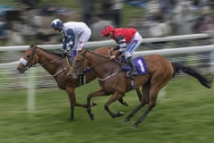 Beverley Races by Dave Rippon