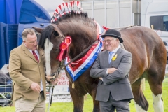 Best in Show by Roy Lloyd