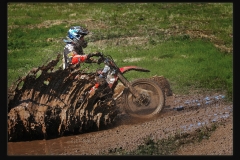 Mud Splater get the Cameras by Terri Thorpe
