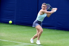 Simona Halep by Willem Van Herp