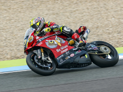 Ducati by Dave Rippon