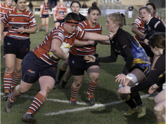 Going for the Jugular by Jeff Moore