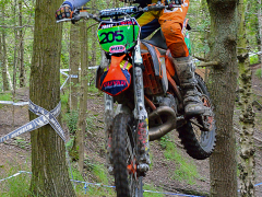 Over the Jump by Dave Rippon