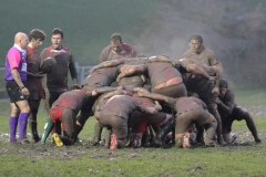 Steaming Mud Bath by Brian Crossland