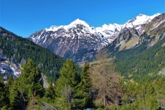 Alpine View by Ray Evans