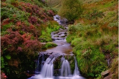 Fairbrook  by Jeff Moore