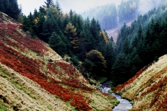 Mist Over Snake Pass by Brian Crossland