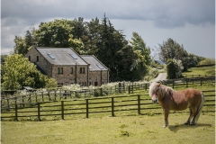Pasture Grassland by Bob Harper
