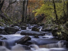 Padley Gorge by Jeff Moore