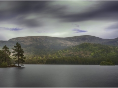 Loch Garten by Jeff Moore