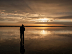 Looking Out  by Paul Nind