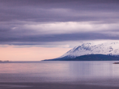 Akyuri Bay, Iceland by Phil Edwards