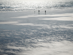Filey Beach by Phil Edwards