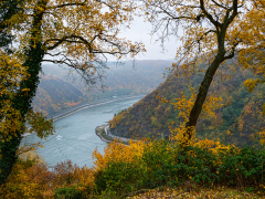 Lorelei, Rhineland by Dave Rippon
