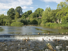 Bakewell by Harry Watson